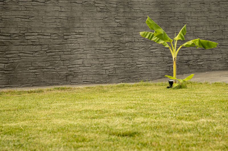 How Decorative Concrete Walls Improve Property Value